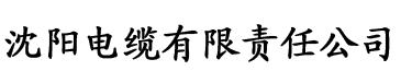 91香蕉视频成人电缆厂logo